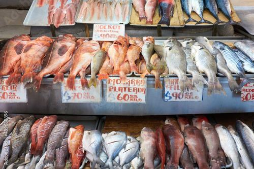 Fish market: Ensenada Fish market photo