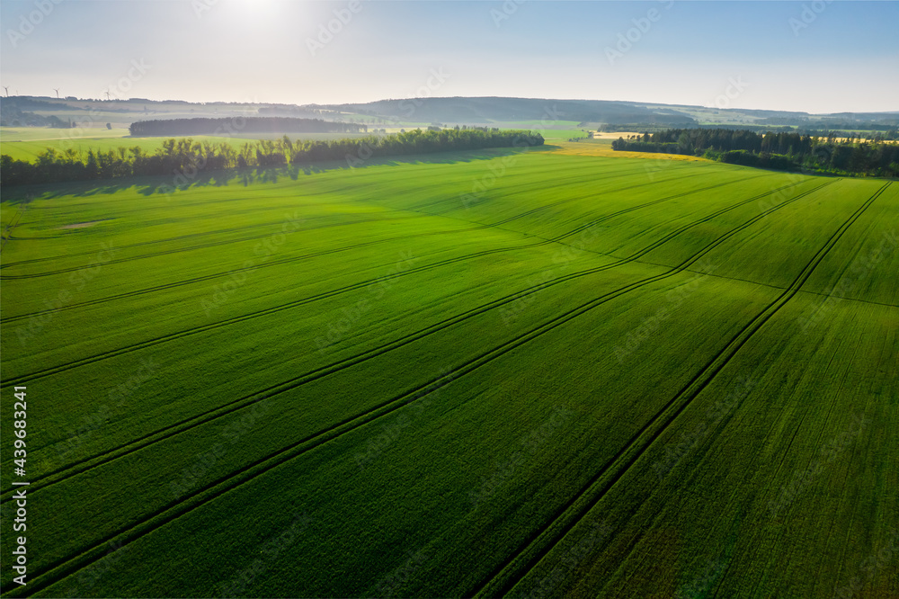 view of flooded fields in spring from a drone view of flooded fields in spring from a drone