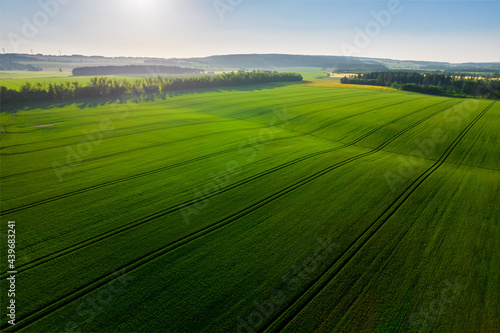 view of flooded fields in spring from a drone 