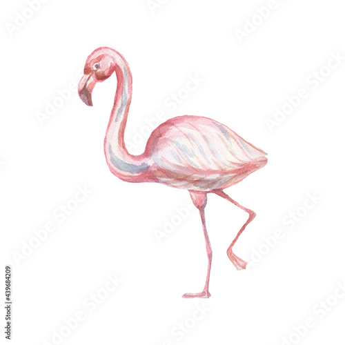  animals wild cartoon  flamingo birds cute baby picture watercolor hand drawn illustration. Print textile vintage retro scandinavian style realism forest nature patern seamless