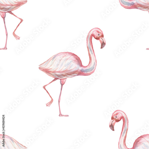 flamingo birds animals wild cartoon cute baby picture watercolor hand drawn illustration. Print textile vintage retro scandinavian style realism forest nature patern seamless