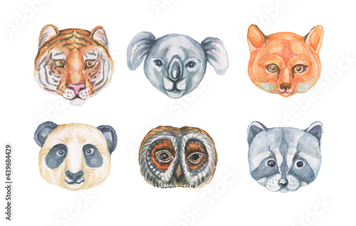 Photography animals cartoon owl fox raccoon panther wild  face muzzle cute baby picture watercolor hand drawn illustration