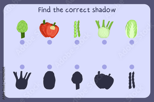 Matching children educational game with food - artichoke, pepper, bean, fennel, napa cabbage . Find the correct shadow. Vector illustration.