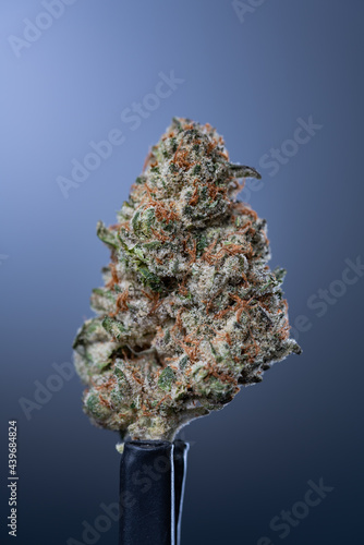 Cannabis Flower Macro - Strain: Peanut Butter Breath