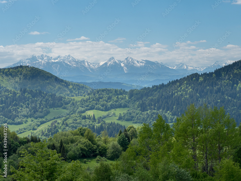 Widok na Tatry wysokie z Palenicy