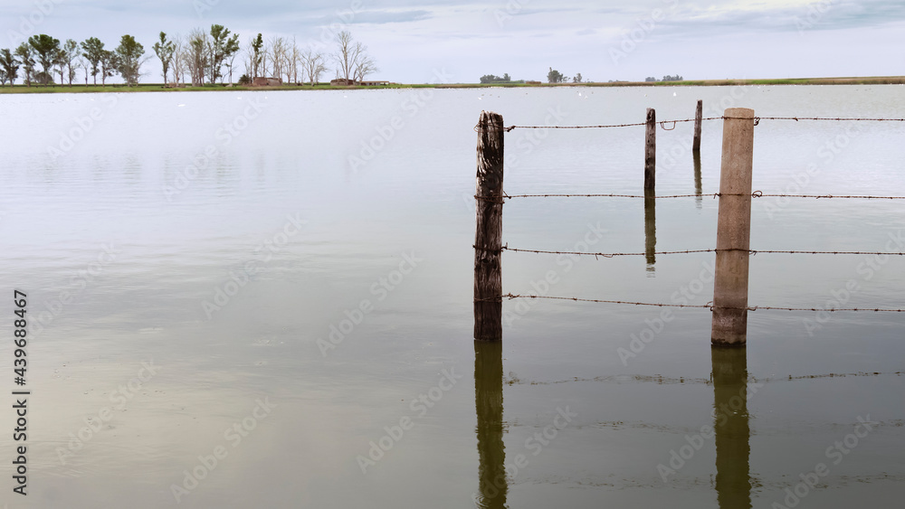Old wooden sticks buried in the calm waters of a lagoon in a rural town. Peaceful and quiet scene outdoors.