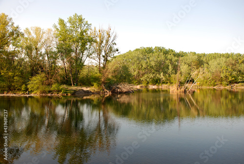 Photography Untouched nature and wilderness in Vienna's Lobau, Austria