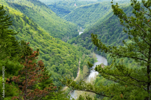 Pine Creek Gorge Hillsides