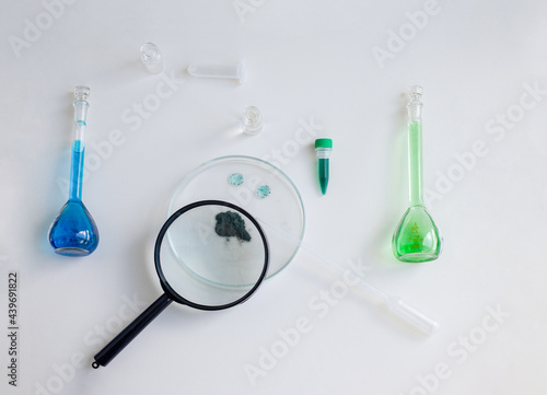 Set of school supplies for biology or chemistry lesson on light background: petry dish with green algae powder, magnifier, plastic tubes, pipette. Concept: back to school. Flatlay, top view. photo