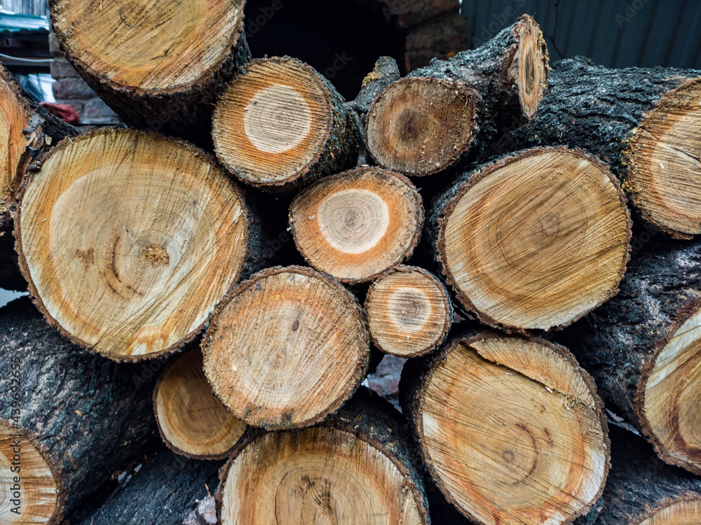 stack of firewood