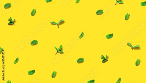 Fresh mint leaves overhead view