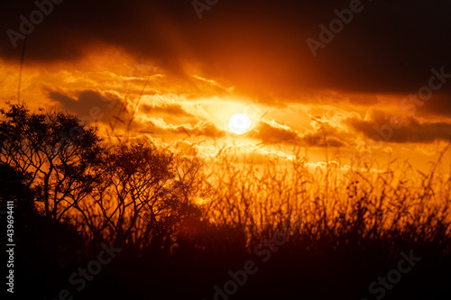 sunset in the field © Rodrigo