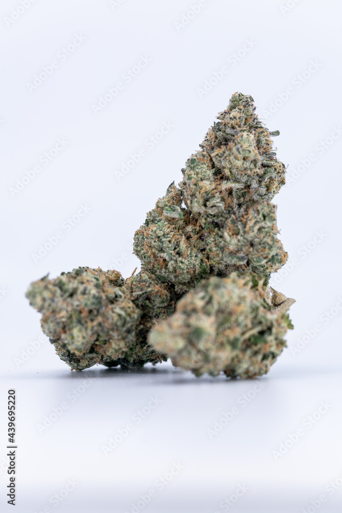 Cannabis Flower Macro - Strain: Cement Shoes Cannabis Flower Macro - Strain: Cement Shoes