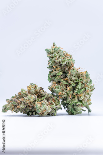 Cannabis Flower Macro - Strain: Cascade Grape