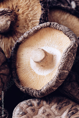 Shitake mushrooms photo