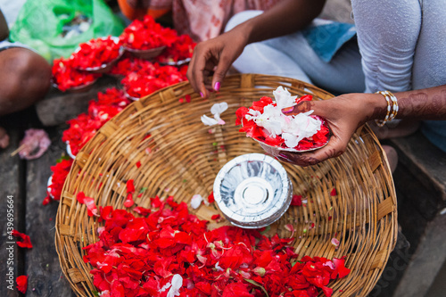 Young woman preparing red flower petals for  a spiritual ritual of Ganga Aarti photo