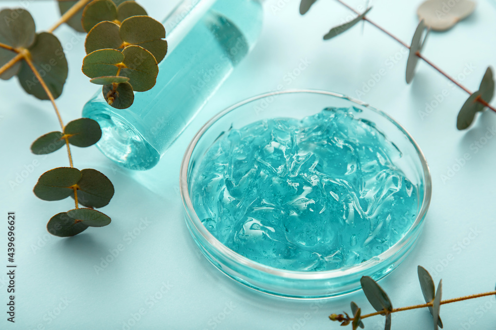 eucalyptus-gel-in-petri-dish-transparent-cosmetic-gel-with-eucalyptus