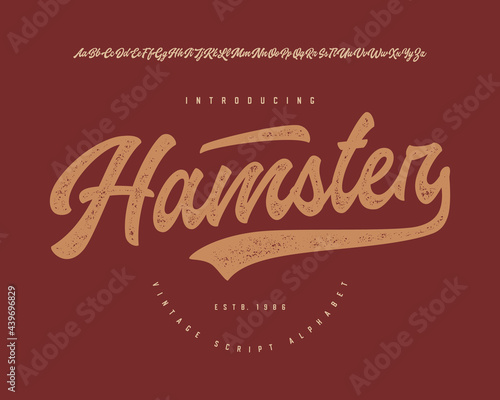 Hamster. Original Brush Script Font. Retro Typeface. Vector Illustration.