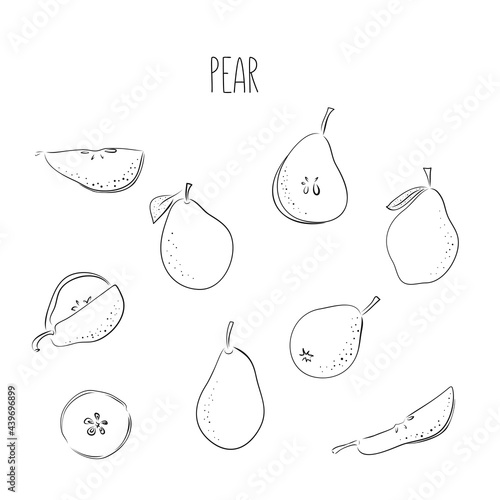 Hand drawn sketch style fruits set. Bio food vector illustration collection on white background. Slice pear
