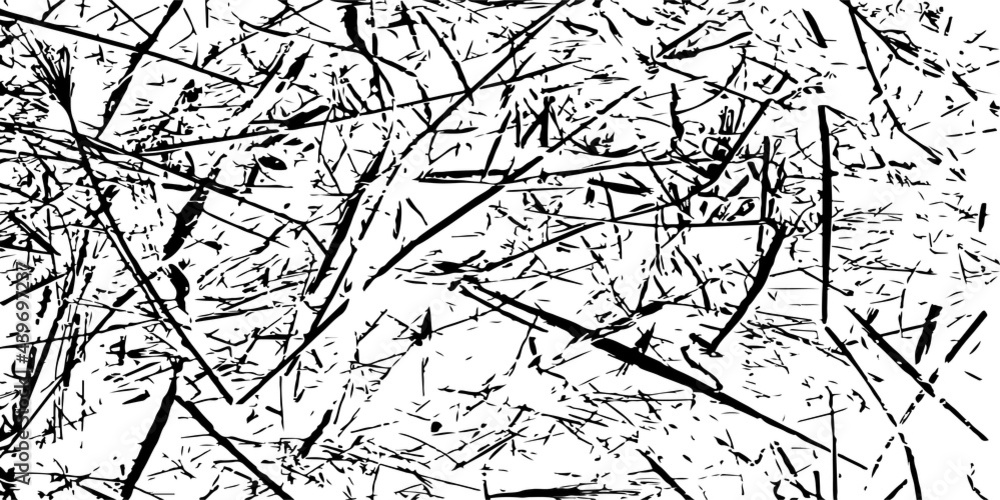 Obraz premium Scratch black and white grungy texture. Dry brush strokes. Modern pattern. Distressed banner. Dirty artistic design element for web, print, template and abstract background