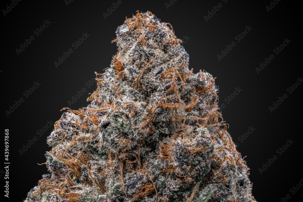 Obraz premium Cannabis Flower Macro - Strain: Chem