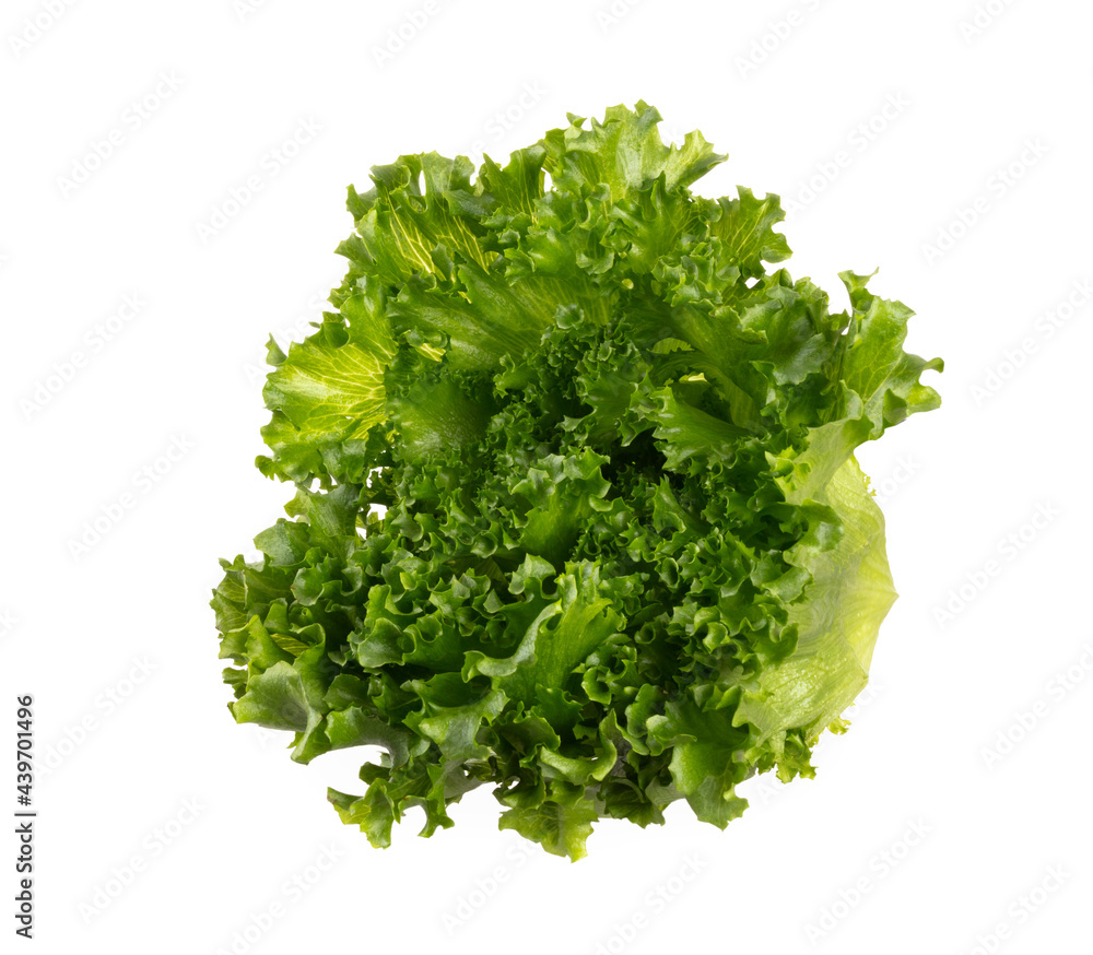 Fototapeta premium Salad leaves Bio lettuce isolated on white background.