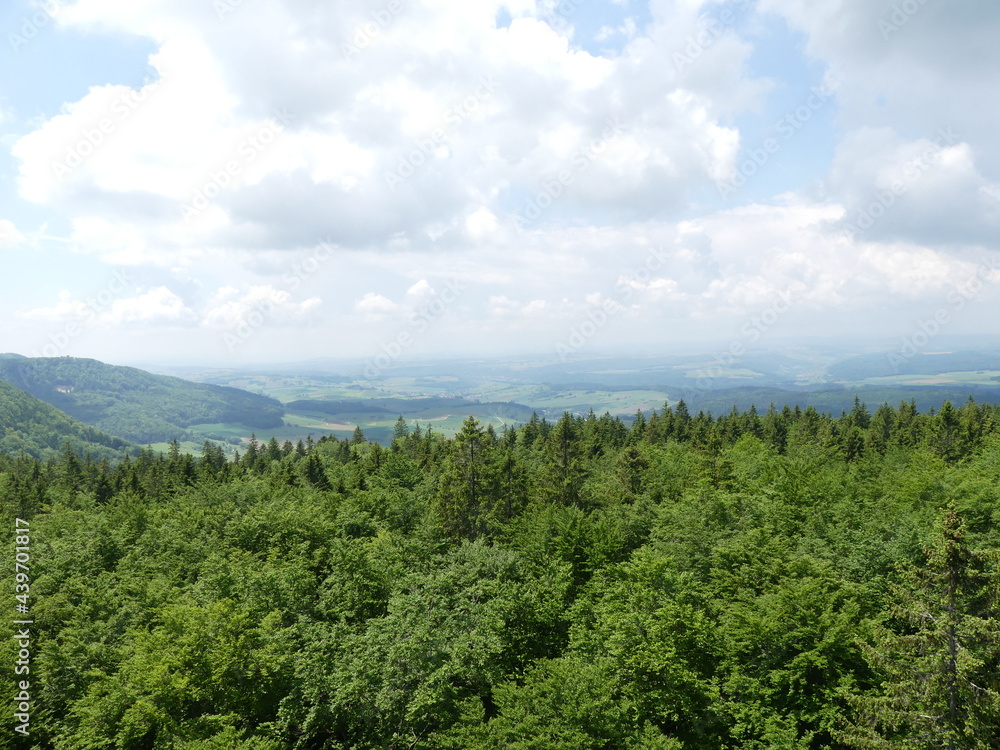 Sicht auf den Schwarzwald