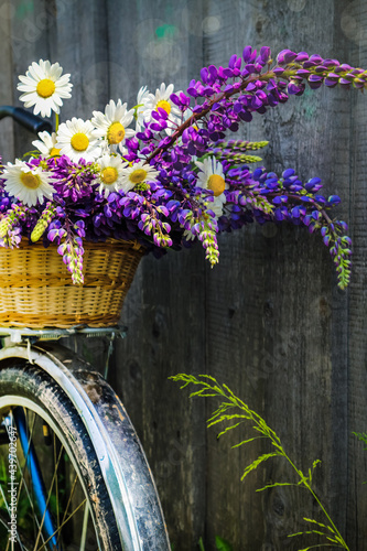 bouquet of wild flowers in a basket and on a bicycle