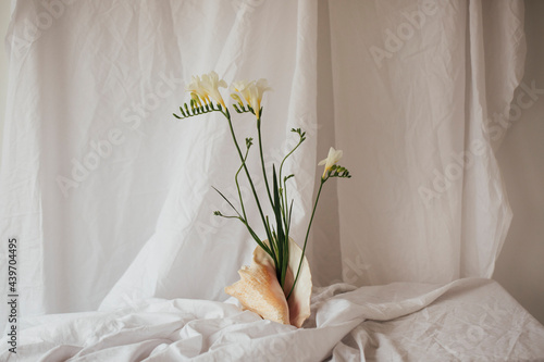 freesia flowers in a seashell