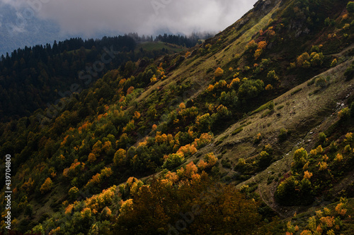  misty landscape in the mountains