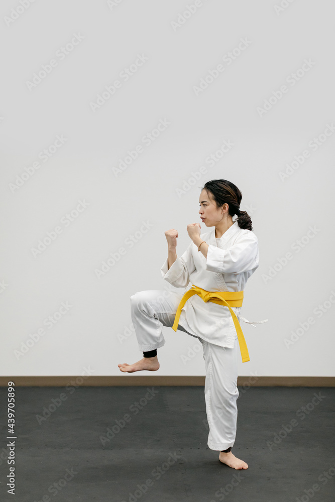 Asian Woman Training in the Martial Arts Asian Woman Training in the Martial Arts