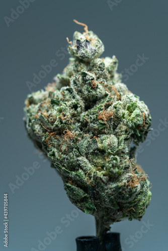 Cannabis Flower Macro - Strain: Ice Cream Cake