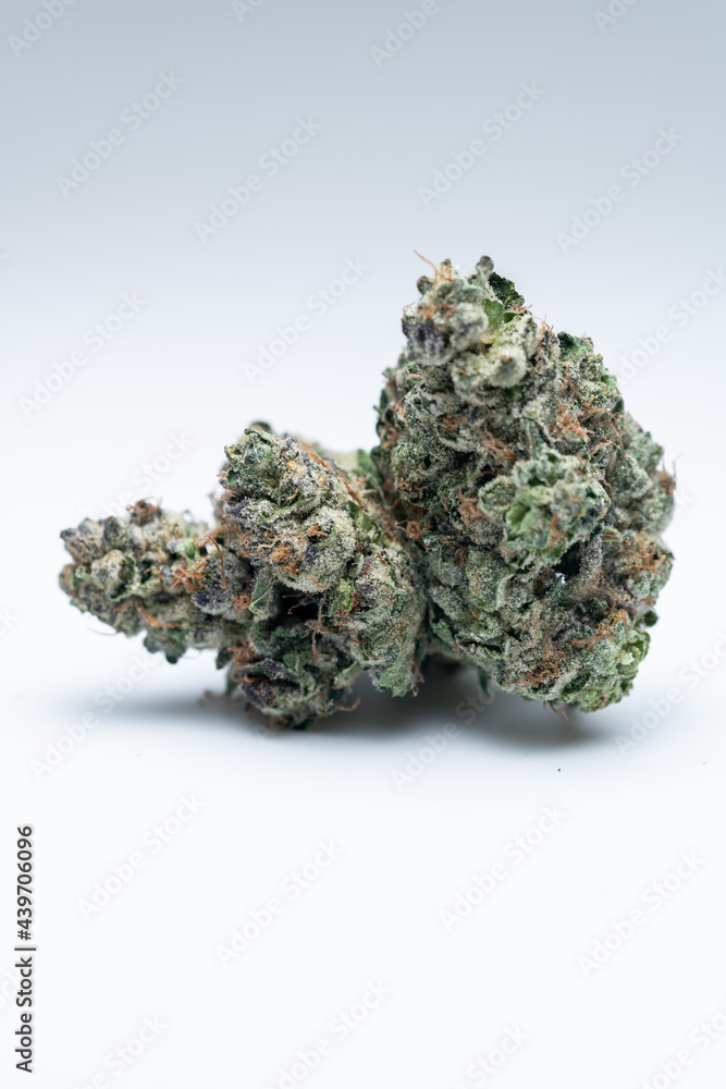 Cannabis Flower Macro - Strain: Ice Cream Cake Cannabis Flower Macro - Strain: Ice Cream Cake
