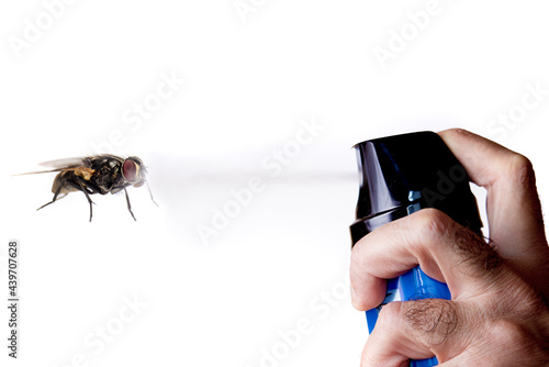 Принти на полотні man's hand throwing insecticide spray on a fly