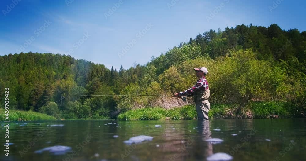 Fly fishing. Angler stands in the river and casts the fly. Fisherman fishing on fly on the calm river at daytime and casting the line Fly fishing. Angler stands in the river and casts the fly. Fisherman fishing on fly on the calm river at daytime and casting the line