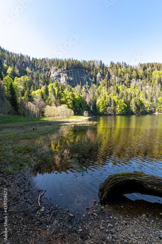 Vertical shot of the beautiful Feldbergsee Lake captured near the Black Forest, Germany photo