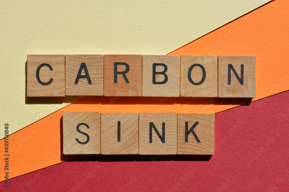 Carbon Sink, words in wood alphabet letters. foto de Stock Adobe Stock