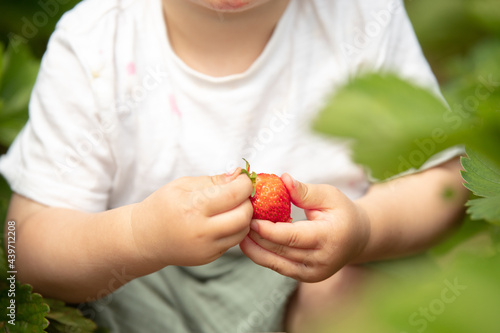 Erdbeerliebe von Kindern photo