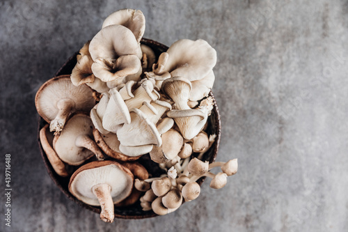 A bowl of assorted organic mushrooms