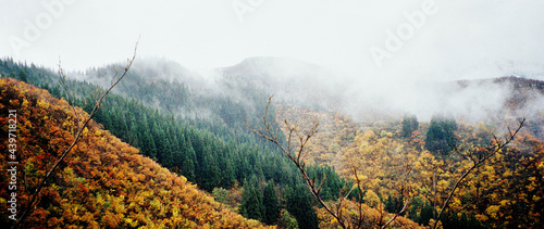 Autumnal Mountain Scene