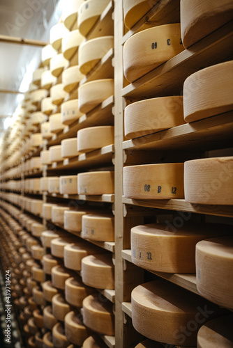 Cheese aging in a cellar on wooden racks photo