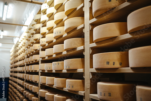 Cheese aging in a cellar on wooden racks photo