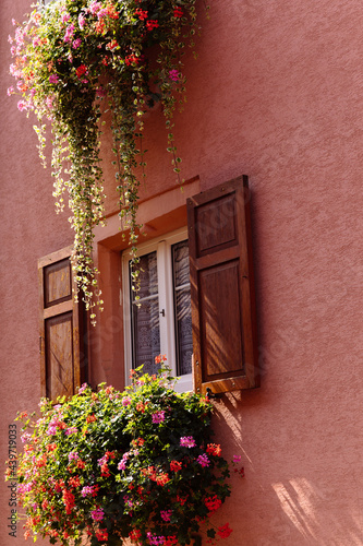 Flower windowbox on a pink house photo