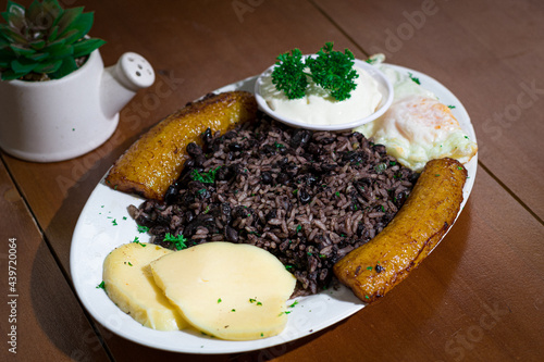 Obraz na plátně Gallo Pinto