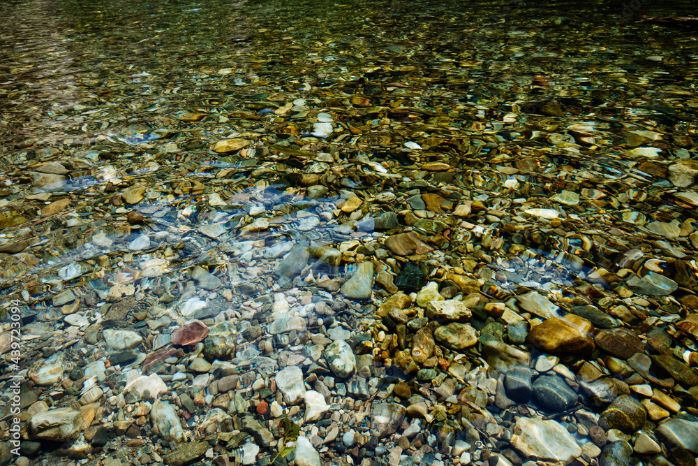 Rocky river floor