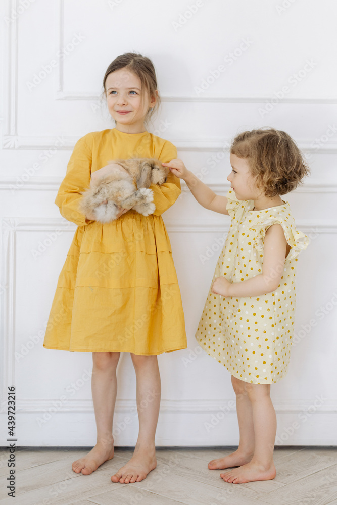 little girls and rabbit little girls and rabbit