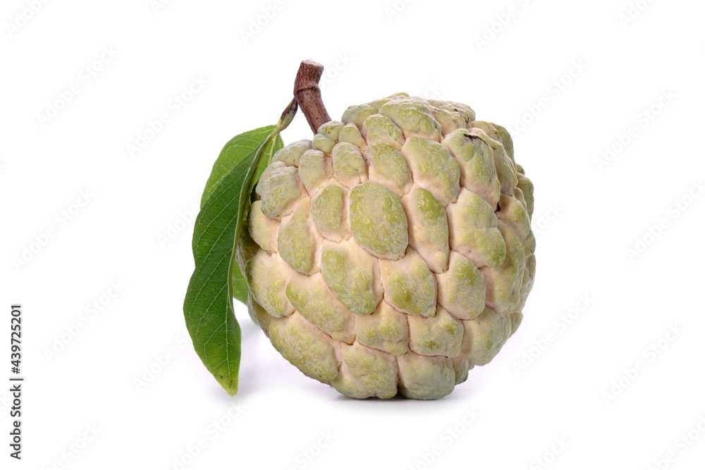 Obraz premium Custard apple isolated on white background. The sugar-apple, sweetsop is the fruit of Annona squamosa. Premium quality sugar-apple from Thailand