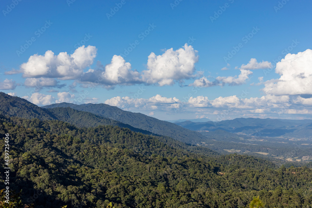 Wonderful springtime landscape in mountains with blue sky.