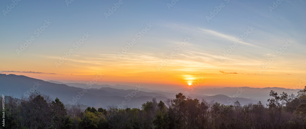 Panorama of mountain landscape forest at sunrise