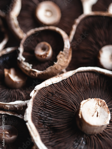 Portobello Mushrooms photo